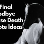 20 Final Goodbye Horse Death Quote Ideas • Horsezz | saltcreektexas