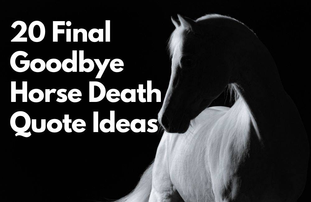 goodbye end horse death quote ideas