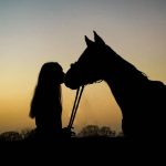 How to teach your horse to kiss | saltcreektexas